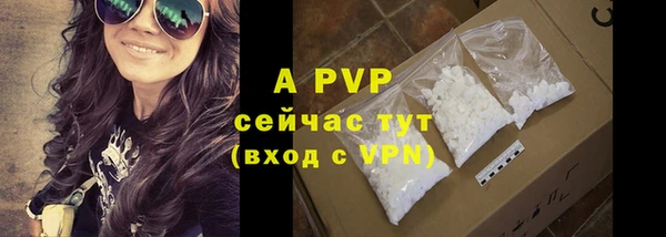 дмт Богородицк