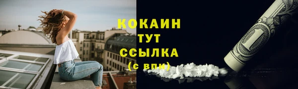 дмт Богородицк