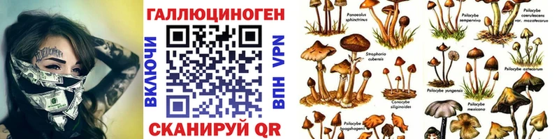 Псилоцибиновые грибы мухоморы Свободный