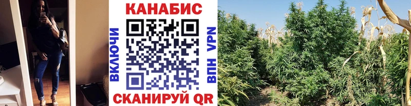 закладка  Свободный  Каннабис MAZAR 